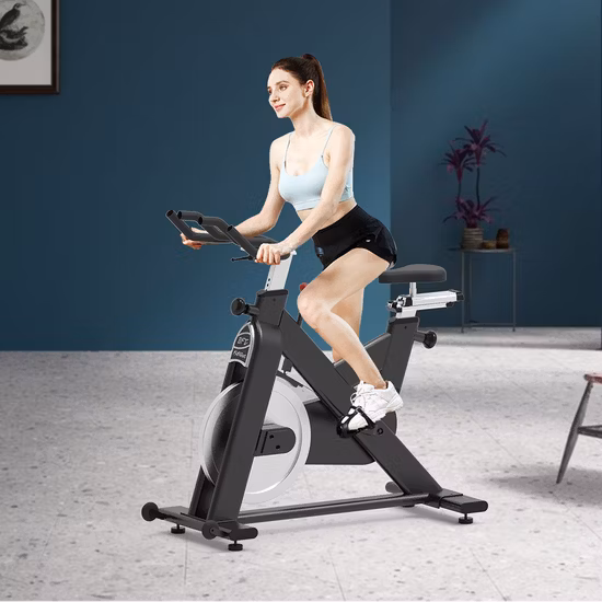 Vélo de rotation de vélo de rotation d'exercice de forme physique magnétique Commercial de Sport professionnel pour l'entraînement de gymnastique à la maison d'intérieur