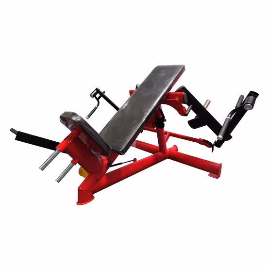 2022 Le plus récent Gym80 Commercial Gym Equipment Incline Pec Fly avec certificat SGS