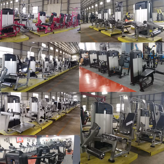 La Chine de gros de l'équipement de gym de levage Squat Rack Rack de poids